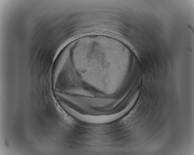 X0000097781530200804041203