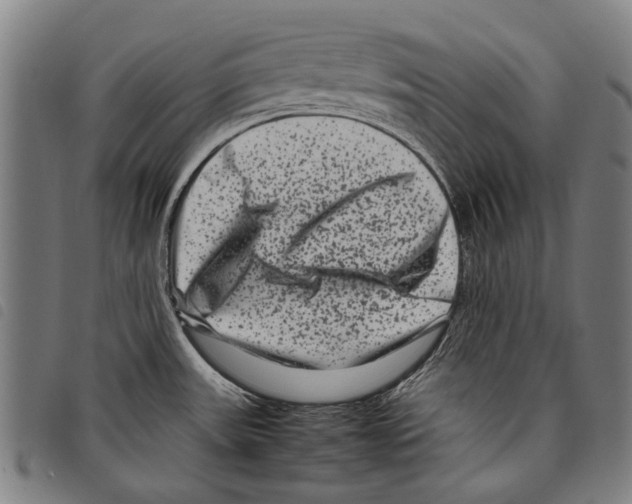 X0000097781531200804041203