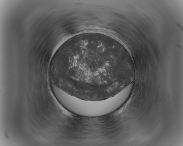 X0000097781533200804041203