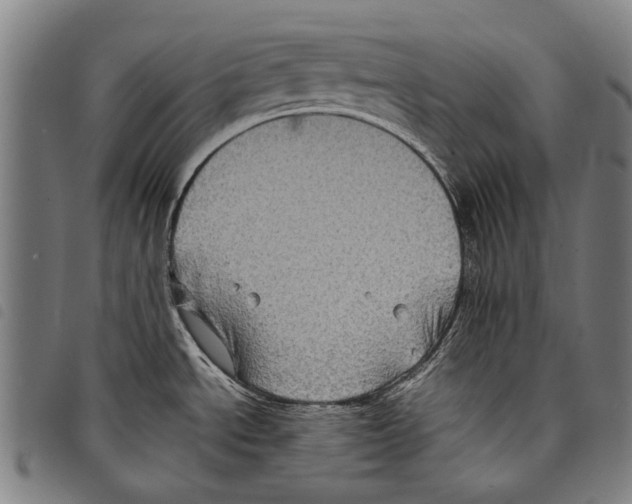 X0000097781534200804041203