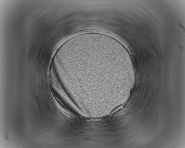 X0000097781535200804041203