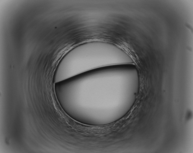 X0000097790001200803070946