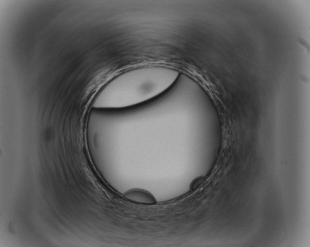 X0000097790002200803070946
