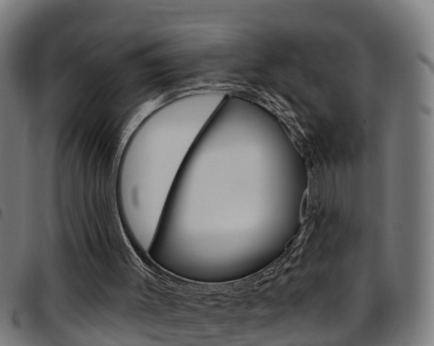 X0000097790003200803070946