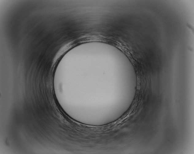 X0000097790004200803070946