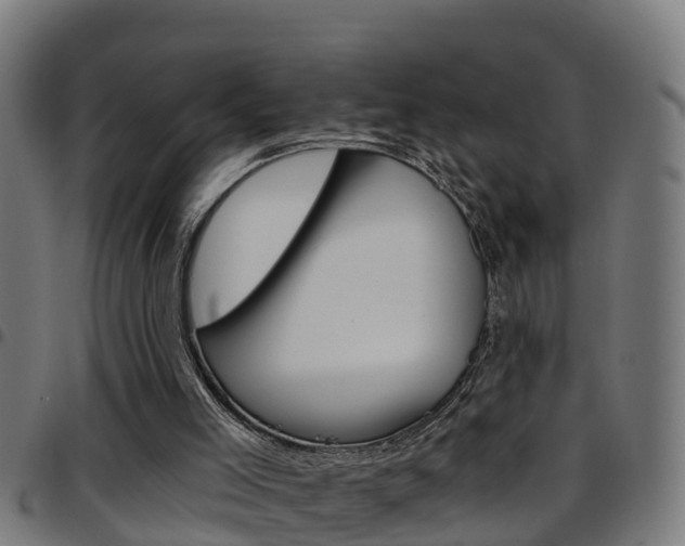 X0000097790005200803070946