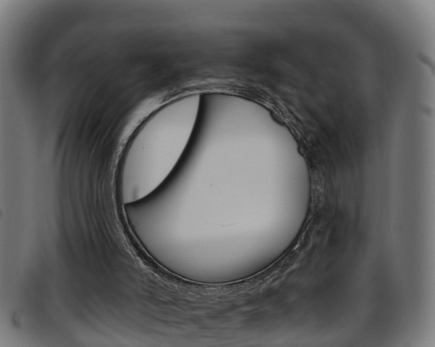 X0000097790006200803070946