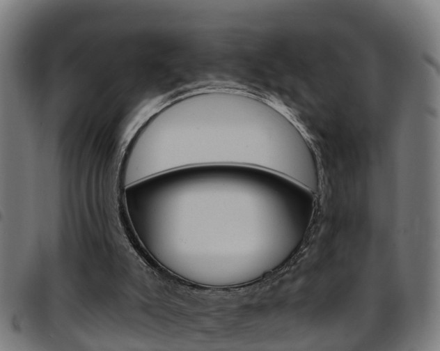 X0000097790007200803070946