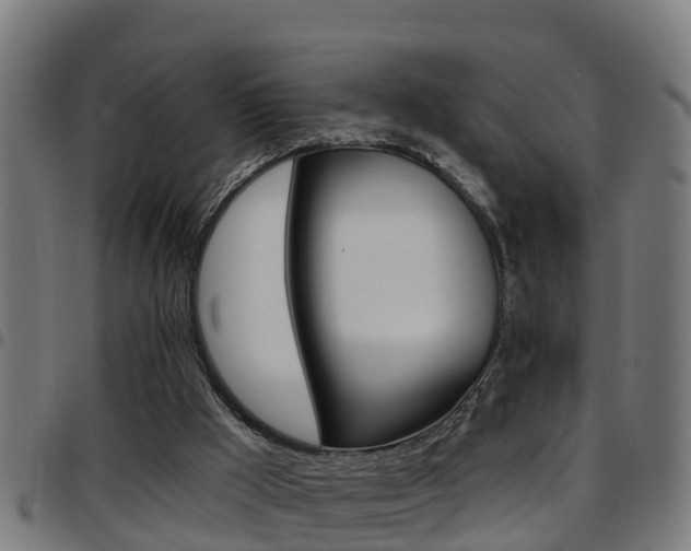 X0000097790009200803070945