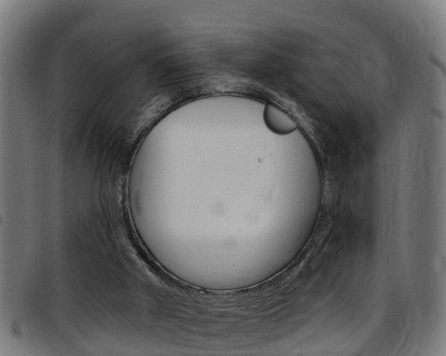 X0000097790010200803070945