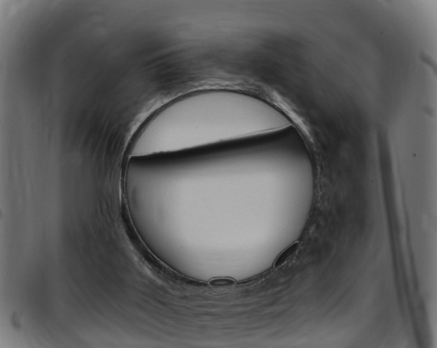 X0000097790011200803070945
