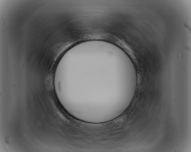 X0000097790012200803070945