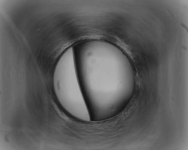 X0000097790013200803070945