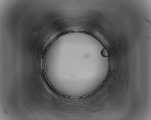 X0000097790014200803070945