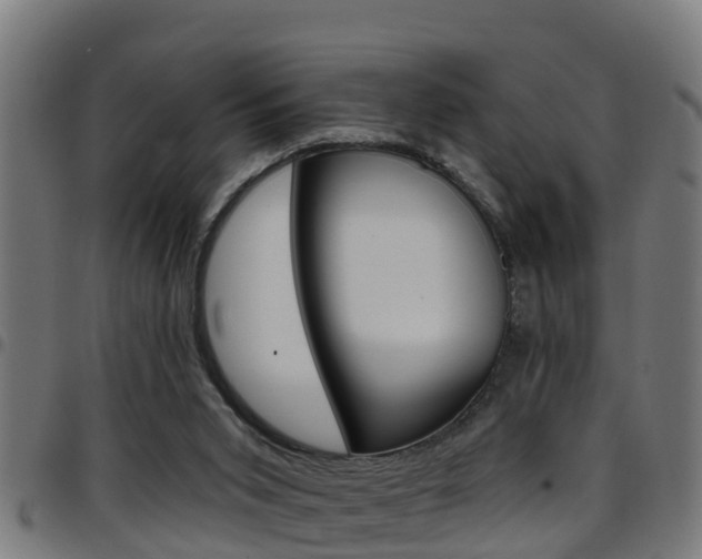 X0000097790015200803070945