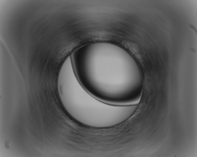 X0000097790017200803070945