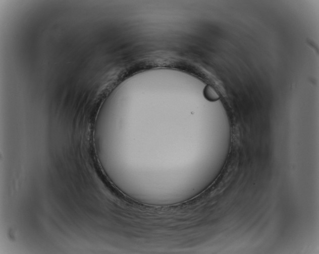 X0000097790018200803070945