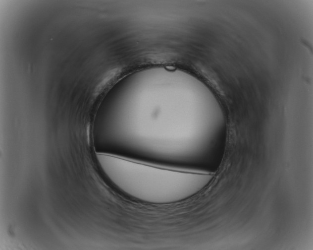 X0000097790019200803070945