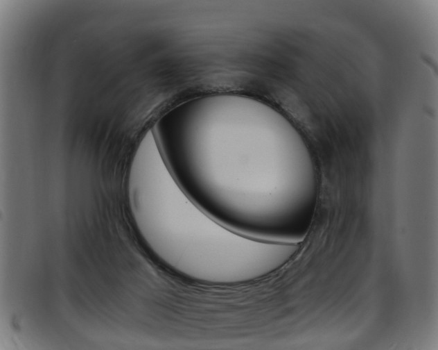 X0000097790021200803070945