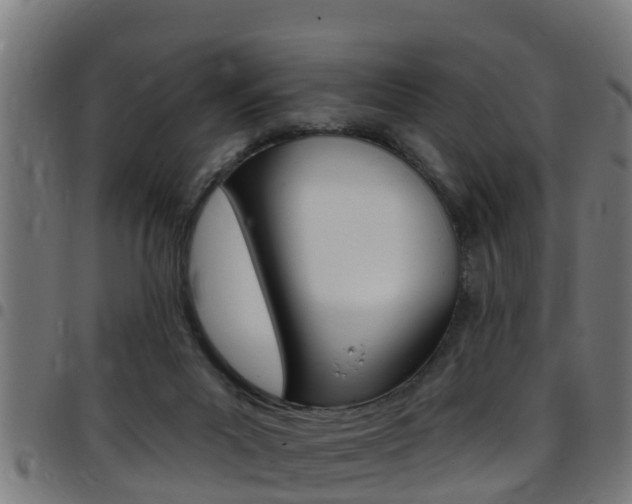 X0000097790023200803070945