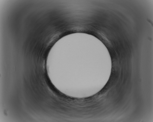X0000097790024200803070945
