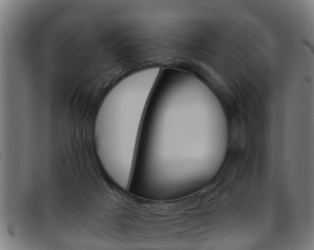 X0000097790025200803070945