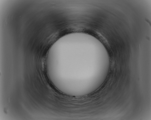 X0000097790026200803070945