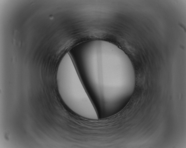 X0000097790027200803070945