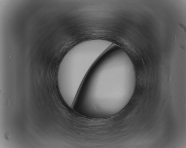 X0000097790031200803070945