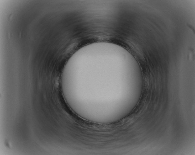 X0000097790032200803070945