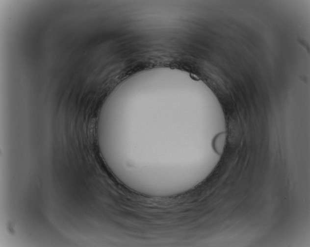 X0000097790034200803070945