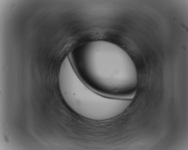 X0000097790035200803070945