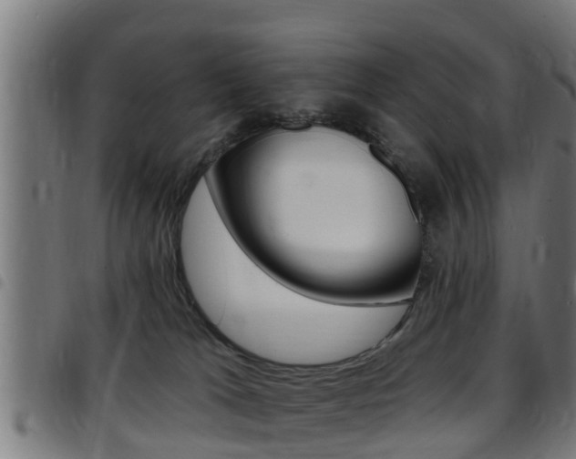 X0000097790037200803070945
