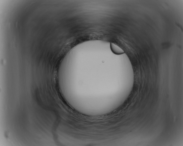 X0000097790038200803070945
