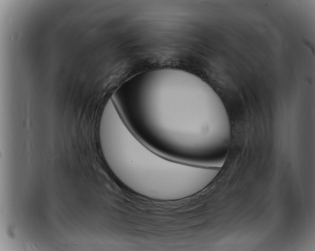 X0000097790039200803070945
