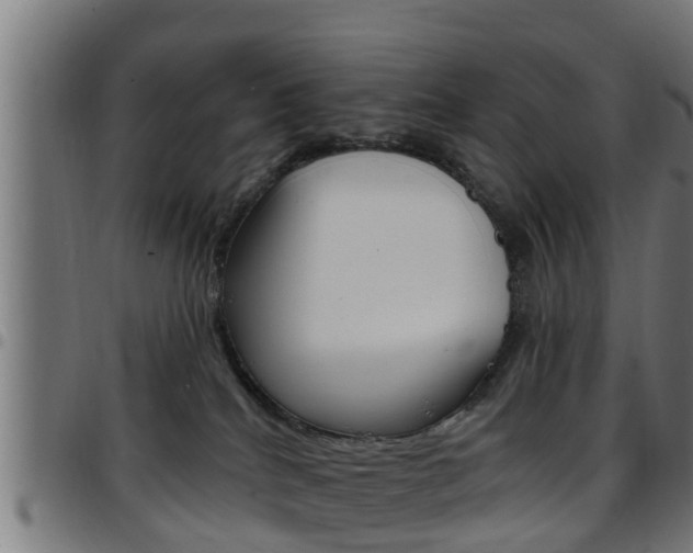 X0000097790040200803070945