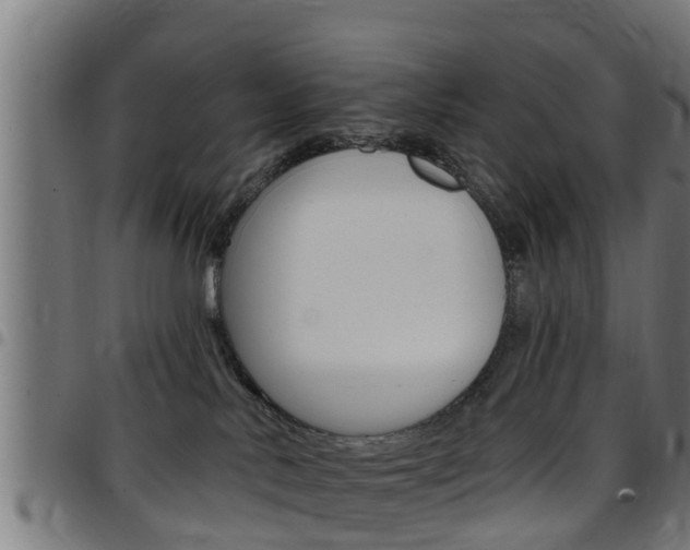 X0000097790042200803070945