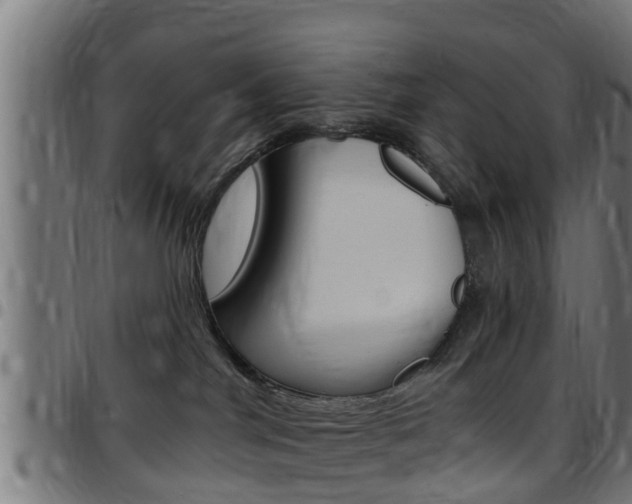 X0000097790044200803070945