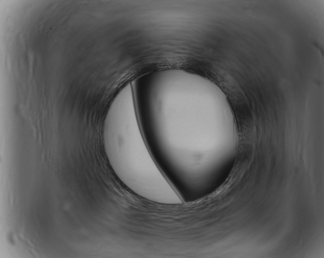 X0000097790045200803070945