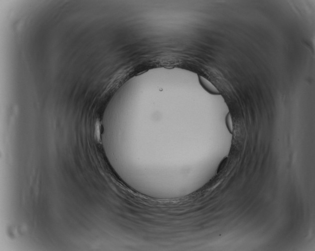 X0000097790046200803070945