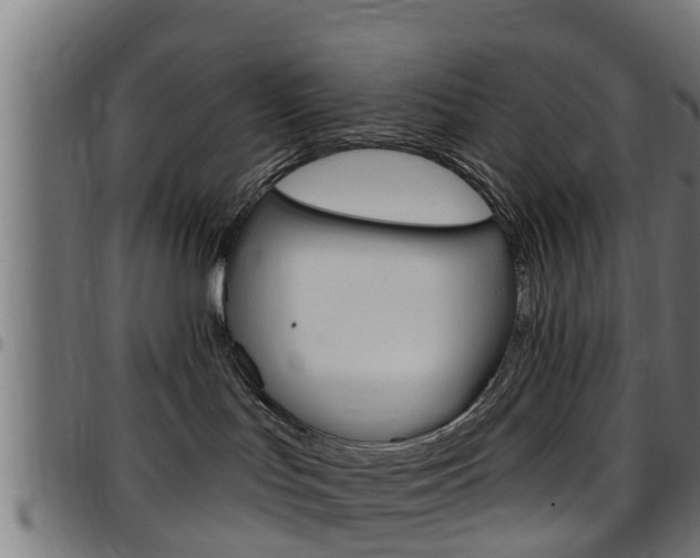 X0000097790047200803070945