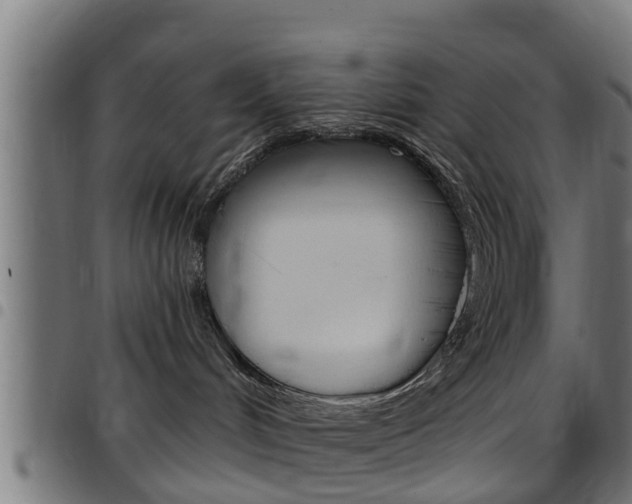 X0000097790048200803070945
