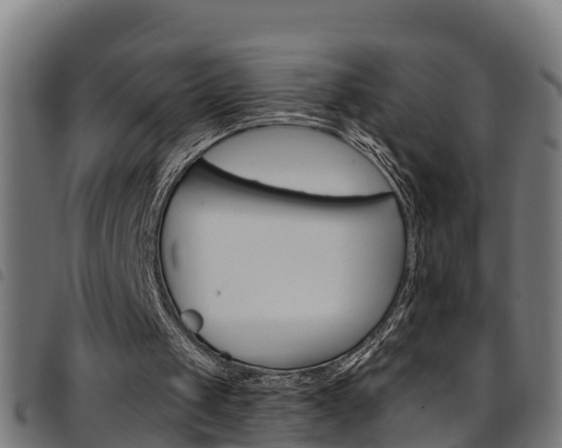 X0000097790049200803070944