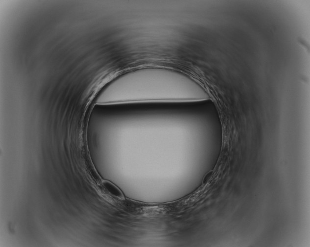 X0000097790050200803070944