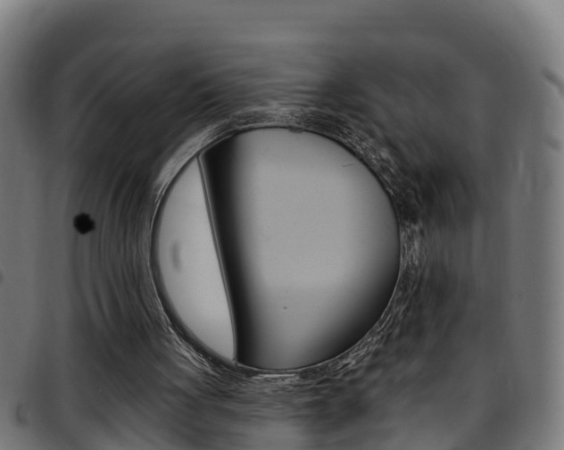 X0000097790051200803070944