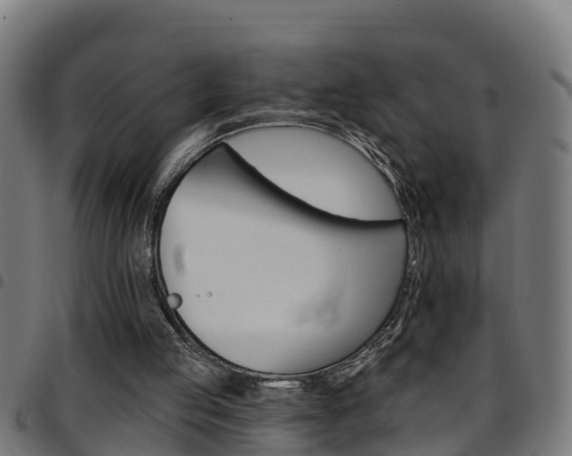 X0000097790053200803070944
