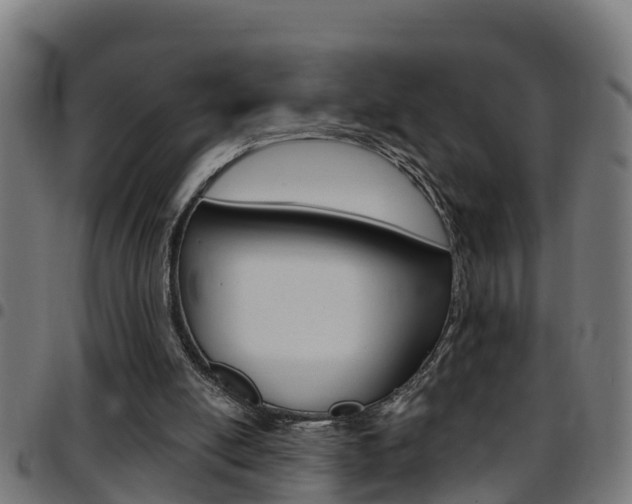 X0000097790054200803070944