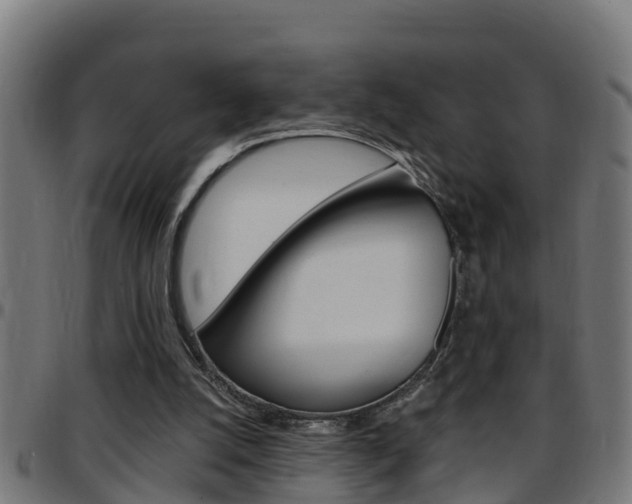 X0000097790056200803070944