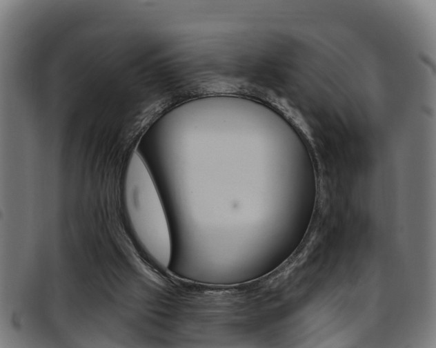 X0000097790057200803070944