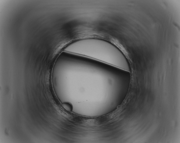 X0000097790058200803070944